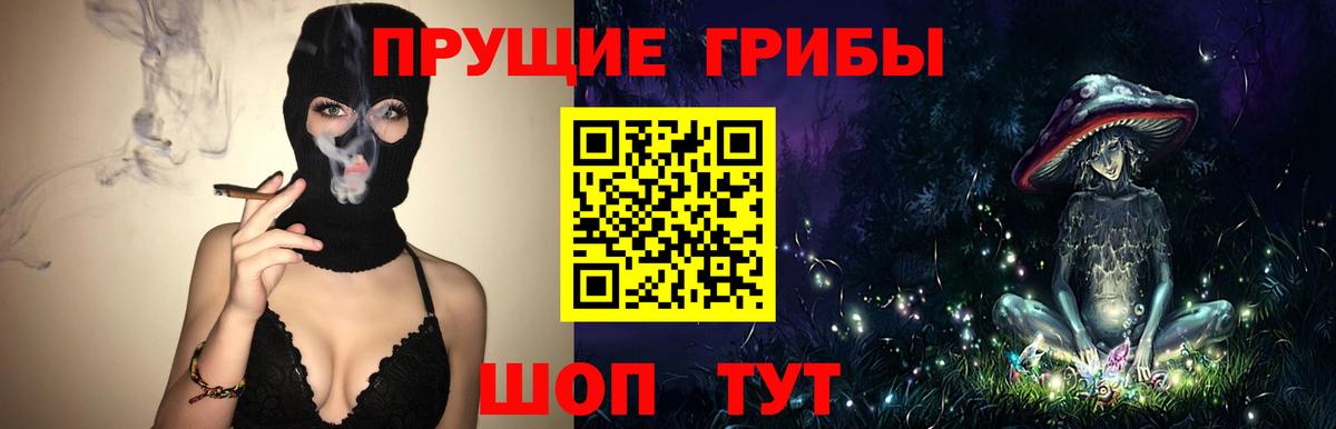 Галлюциногенные грибы Cubensis  продажа наркотиков  Томск  Вход с VPN 